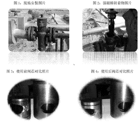 高压强磁篮式过滤器